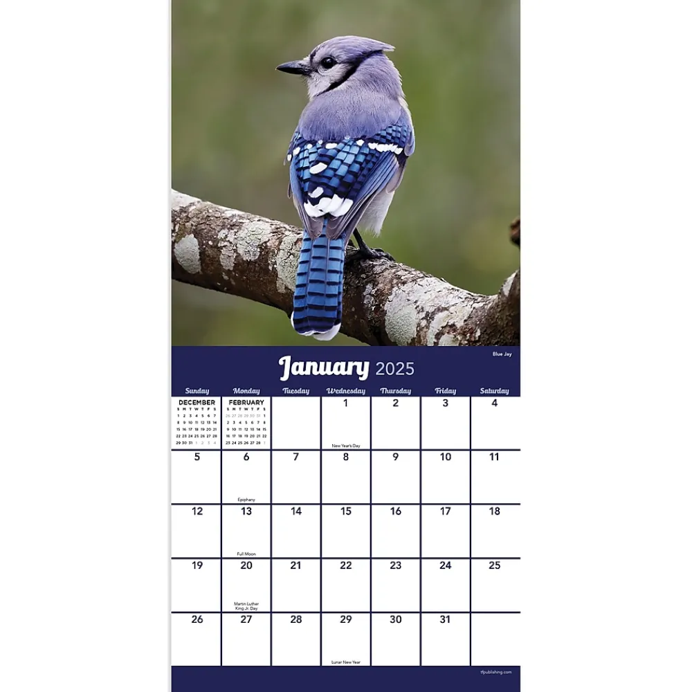 2025 Calendars|TF Publishing 2025 Backyard Birds 7" x 7" Monthly Wall Calendar (25-2013)