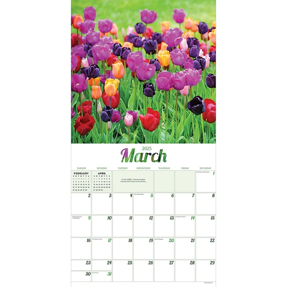 2025 Calendars|TF Publishing 2025 Flowers 12" x 12" Monthly Wall Calendar (25-1034)
