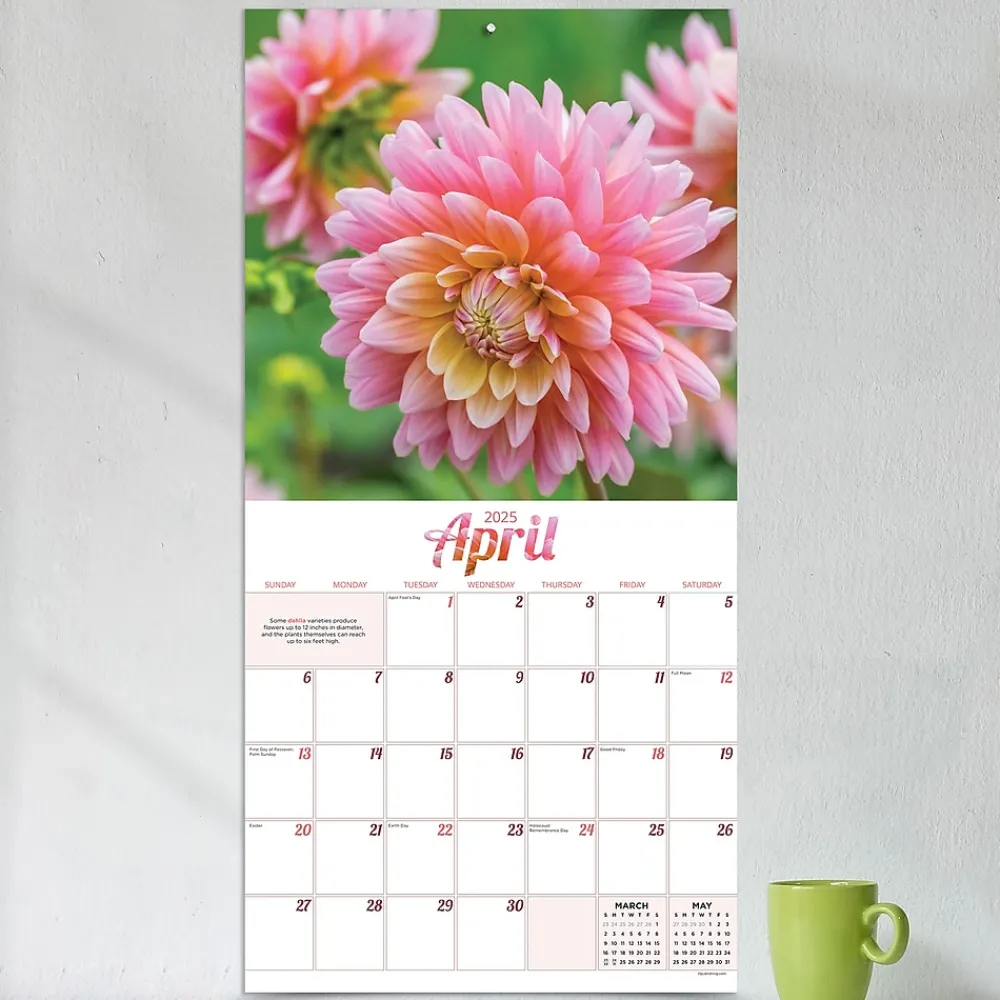 2025 Calendars|TF Publishing 2025 Flowers 12" x 12" Monthly Wall Calendar (25-1034)