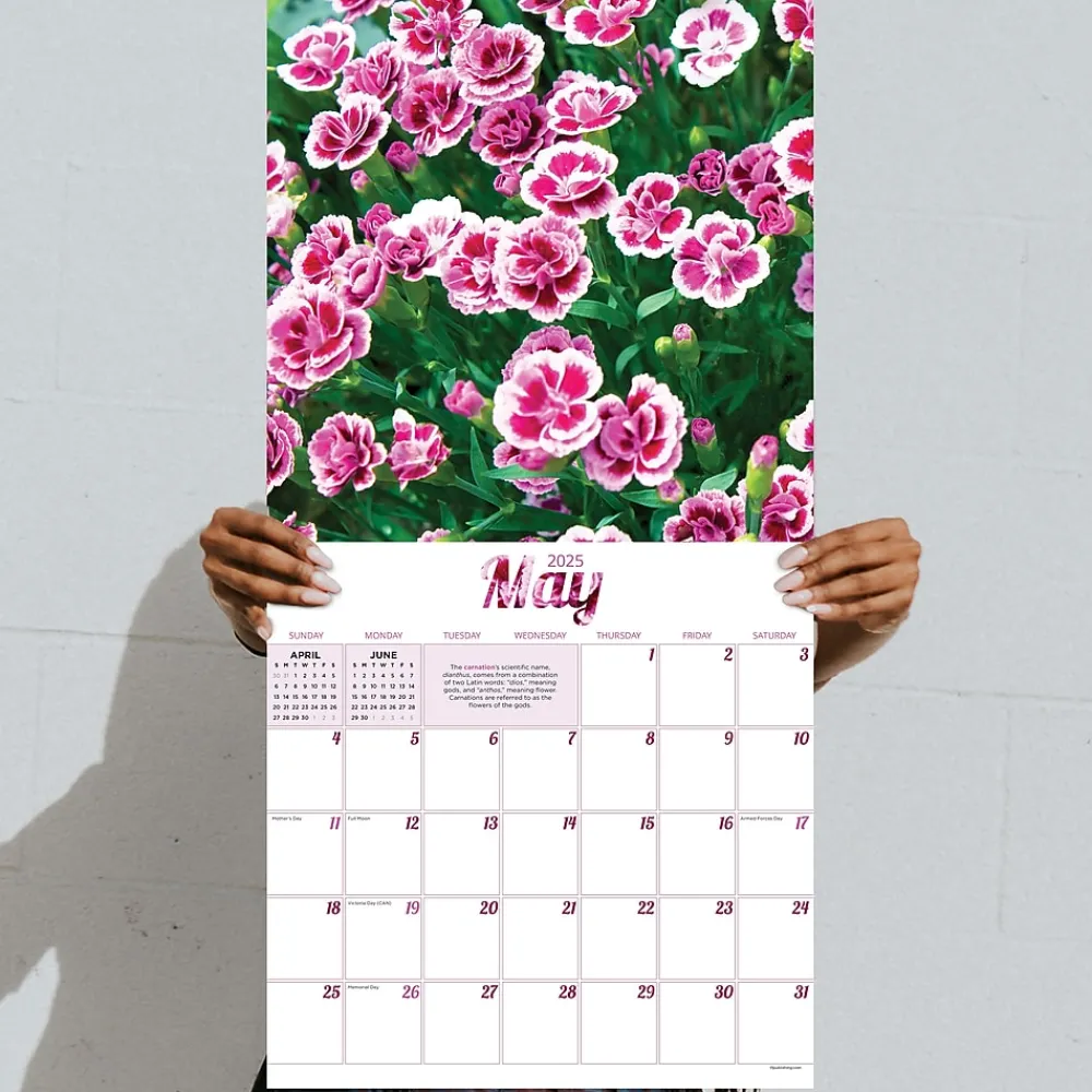 2025 Calendars|TF Publishing 2025 Flowers 12" x 12" Monthly Wall Calendar (25-1034)