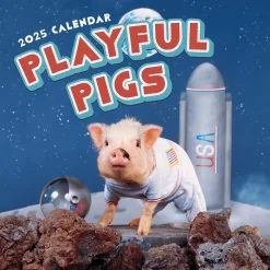 2025 Calendars|TF Publishing 2025 Playful Pigs 12" x 12" Monthly Wall Calendar (25-1023)