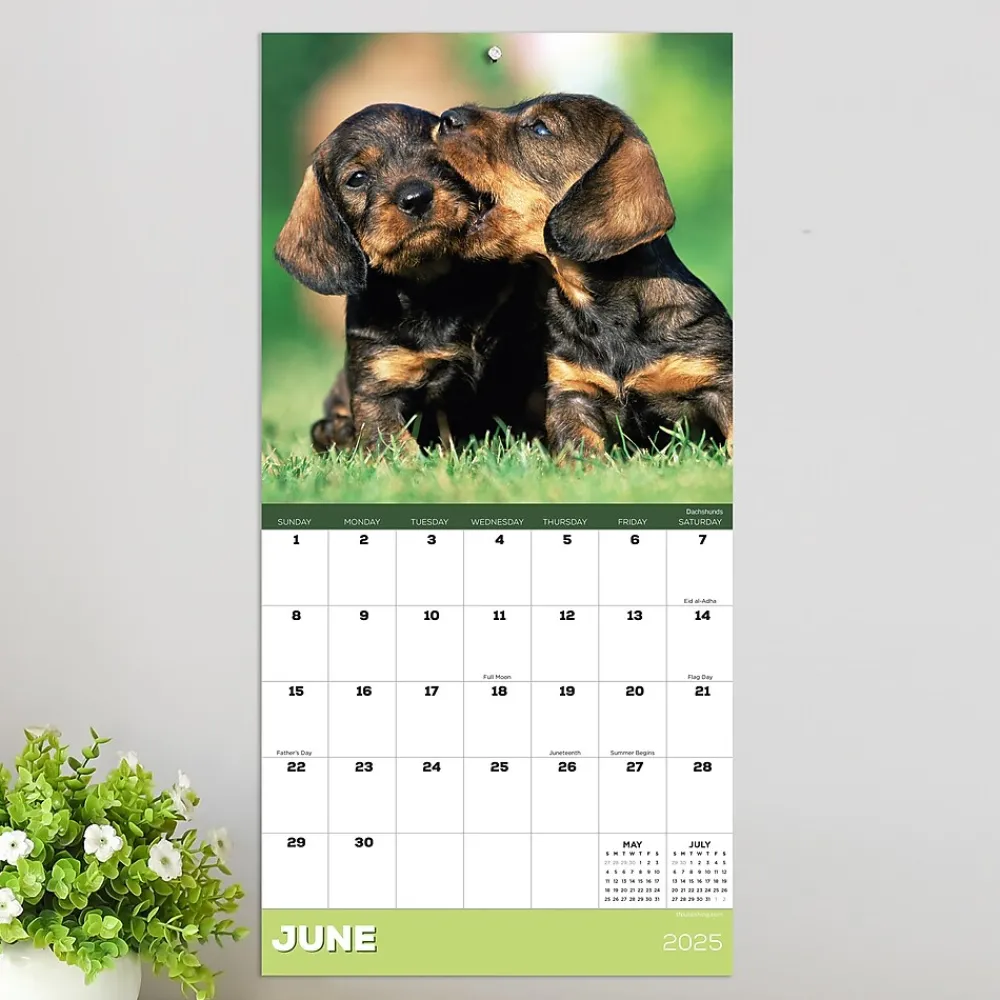 2025 Calendars|TF Publishing 2025 Puppies 7" x 7" Monthly Wall Calendar (25-2007)