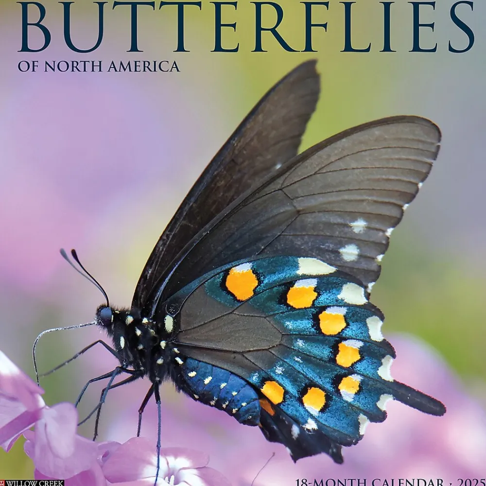 2025 Calendars|Willow Creek 2025 Butterflies 12" x 12" Monthly Wall Calendar (42052)