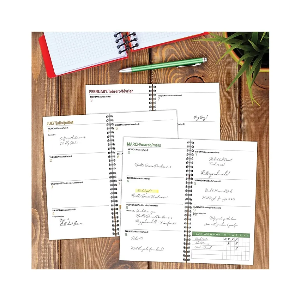 Academic Planners|Willow Creek 2024-2025 Celestial 3.5" x 6.5" Academic Weekly & Monthly Planner, Paper Cover, Black/Gold (47675)