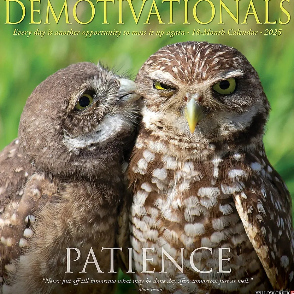 2025 Calendars|Willow Creek 2025 Demotivationals 12" x 12" Monthly Wall Calendar (42694)