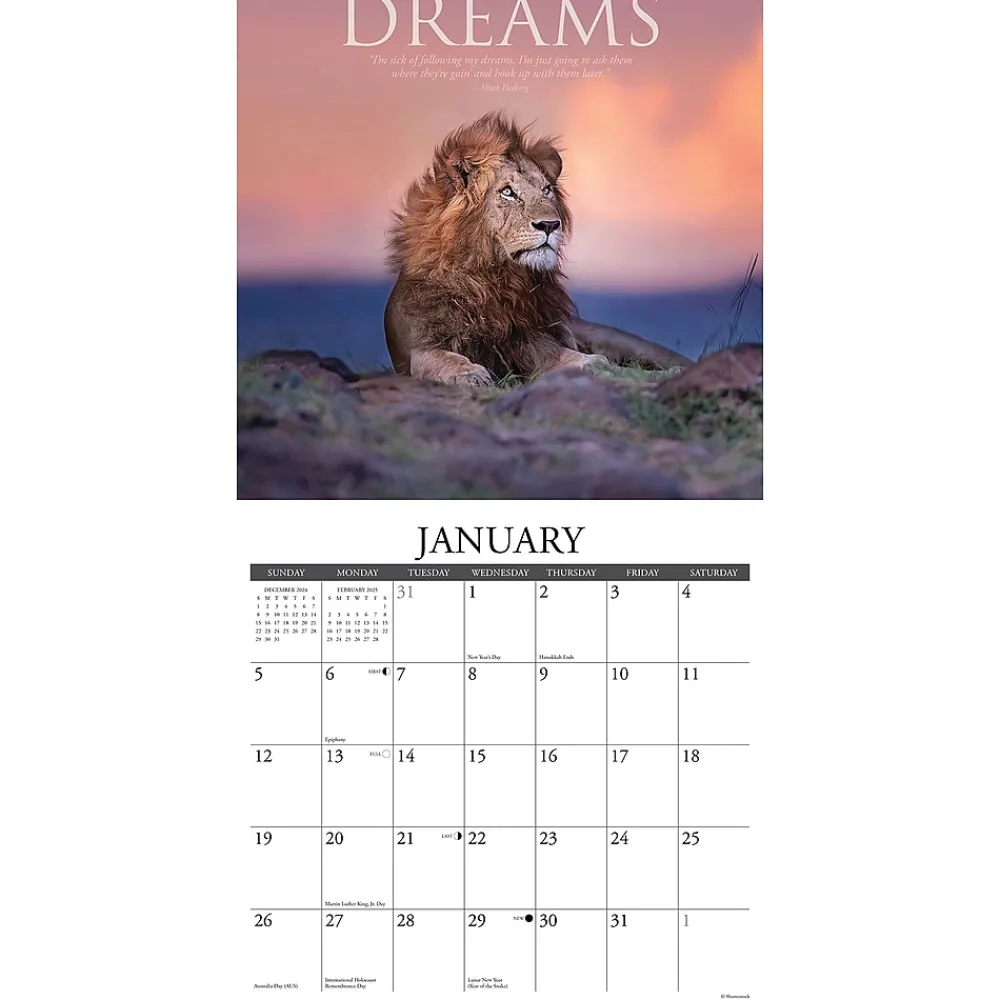 2025 Calendars|Willow Creek 2025 Demotivationals 12" x 12" Monthly Wall Calendar (42694)
