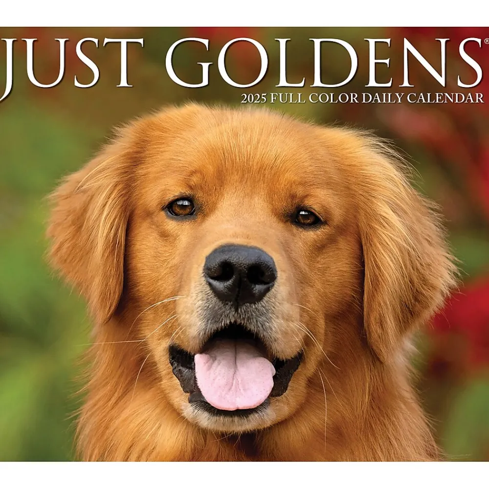 2025 Calendars|Willow Creek 2025 Goldens 6" x 5.5" Day-to-Day Calendar (40867)