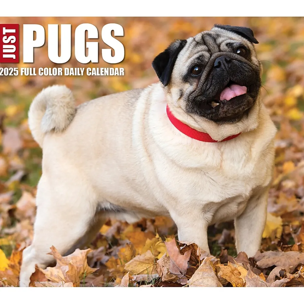 2025 Calendars|Willow Creek 2025 Pugs 6" x 5.5" Day-to-Day Calendar (40997)