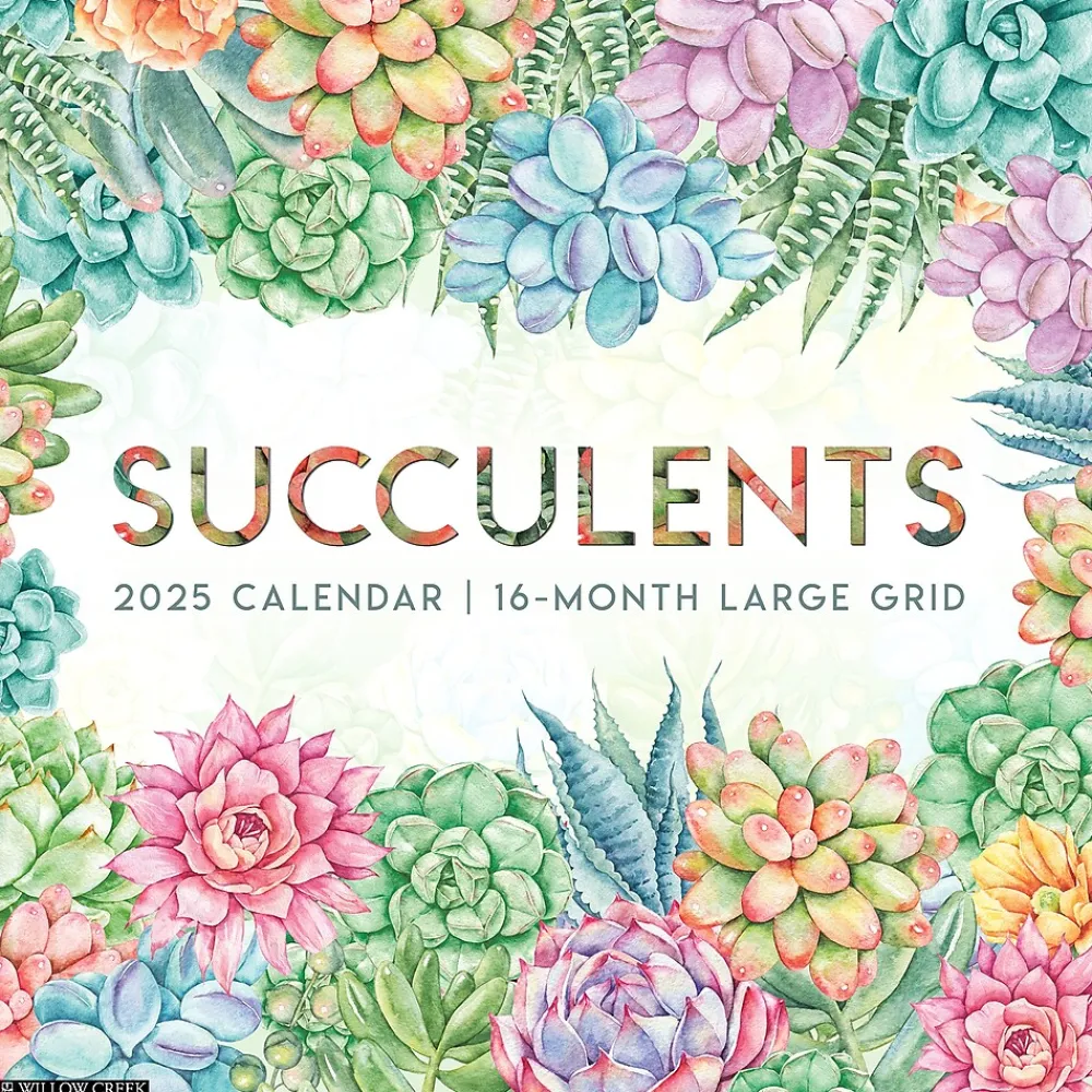 2025 Calendars|Willow Creek 2025 Succulents 12" x 12" Yearly Wall Calendar (46616)