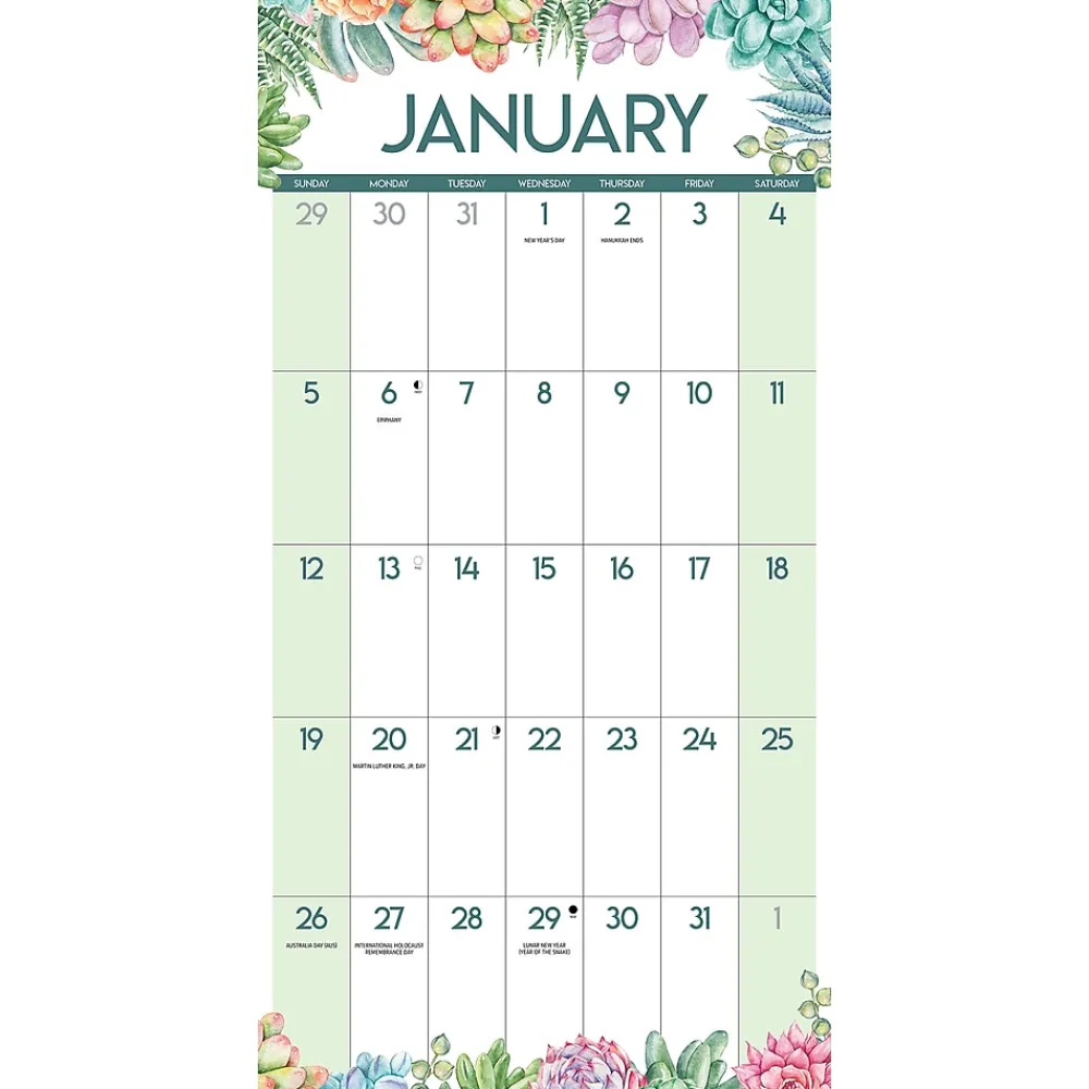 2025 Calendars|Willow Creek 2025 Succulents 12" x 12" Yearly Wall Calendar (46616)