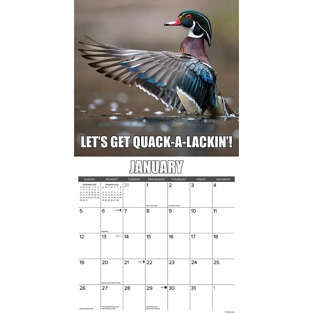 2025 Calendars|Willow Creek 2025 Wise Quacking 12" x 12" Yearly Wall Calendar (46371)