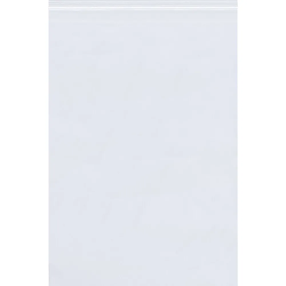 Online Partners Brand 10" x 13" Reclosable Poly Bags, 2 Mil, Clear, 100/Carton (PB3660RP100)