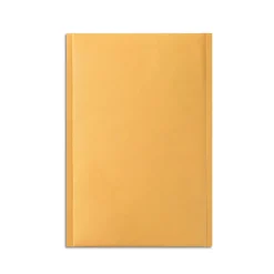 Outlet Staples 13.13" x 17.75" Self-Sealing Bubble Mailer, #6, 25/Carton (ST56651B)