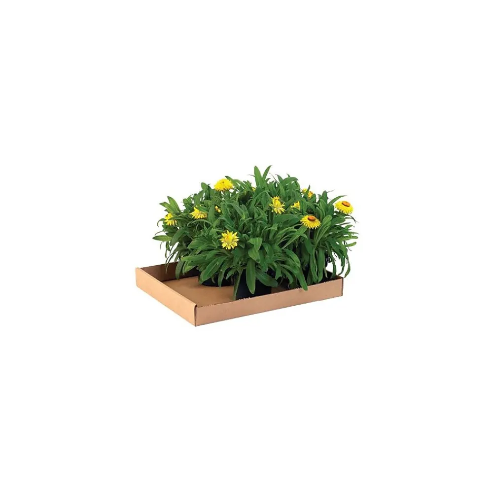 Online Unbranded 24" x 12" x 1.75" Corrugated Trays, 32 ECT, Brown, 50/Bundle (24122CT)