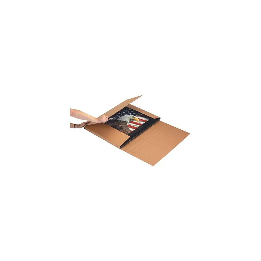 Staples 22" x 18" x 6", Jumbo Mailers, Kraft, 20/Bundle (M22186)