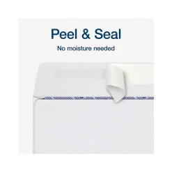 Clearance Adams 2024 Self-Seal Security-Tinted Double-Window 1099 Tax Envelope, 8.75