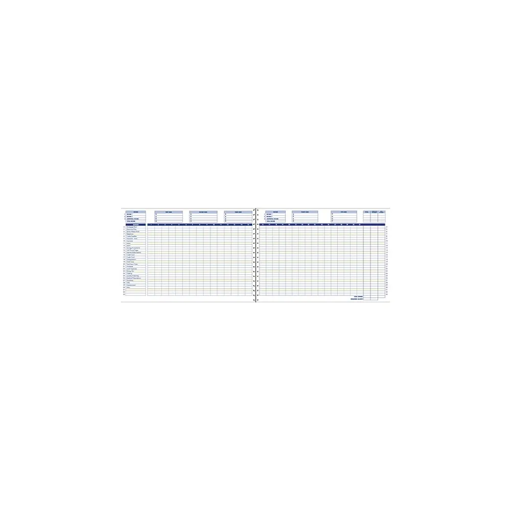 Accounting & Record Journals*Cardinal Adams Home and Office Budget Record Journal, Ruled, Blue (AFR31)