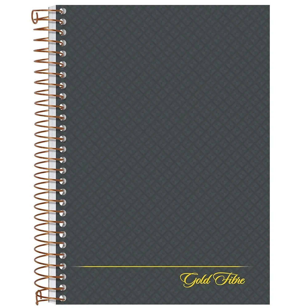 Notebooks|Ampad 1-Subject Professional Notebooks, 5" x 7", College Ruled, 100 Sheets, Gray/Silver (20-803R)