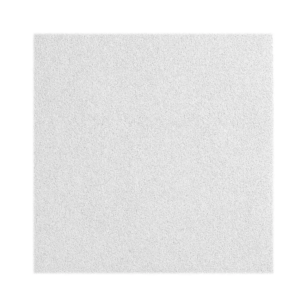 Armstrong CALLA Health Zone Square Edge Ceiling Tile 9/16, 24" x 48", White, 6/Carton (BP2235)