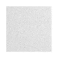 Armstrong CALLA Square Tegular Edge Ceiling Tile, 24" x 24", White, 10/Carton (BP2824A)