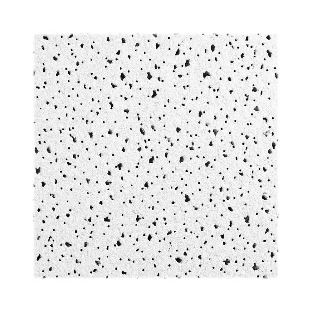 Armstrong CERAMAGUARD Fine Fissured Square Edge Ceiling Tile, 24" x 48", White, 6/Carton (BP608A)
