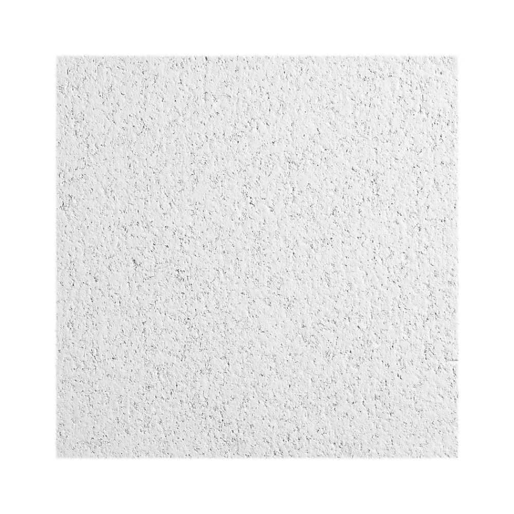 Armstrong CERAMAGUARD Square Edge Ceiling Tile, 24" x 48", White, 6/Carton (BP605C)