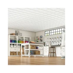 Armstrong CIRRUS Profiles Classic Step Tegular Edge Ceiling Tile, 24" x 24", White, 12/Carton (BP591B)
