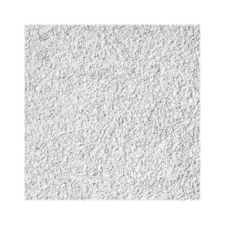 Armstrong CIRRUS Tegular Edge Ceiling Tile 9/16, 24" x 48", White, 6/Carton (BP539A)