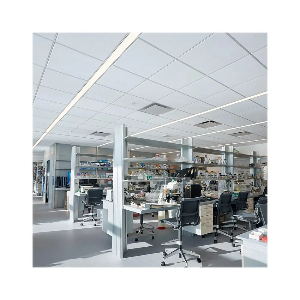 Armstrong CLEAN ROOM VL Square Lay-In Edge Ceiling Tile, 24" x 24", White, 12/Carton (BP868B)
