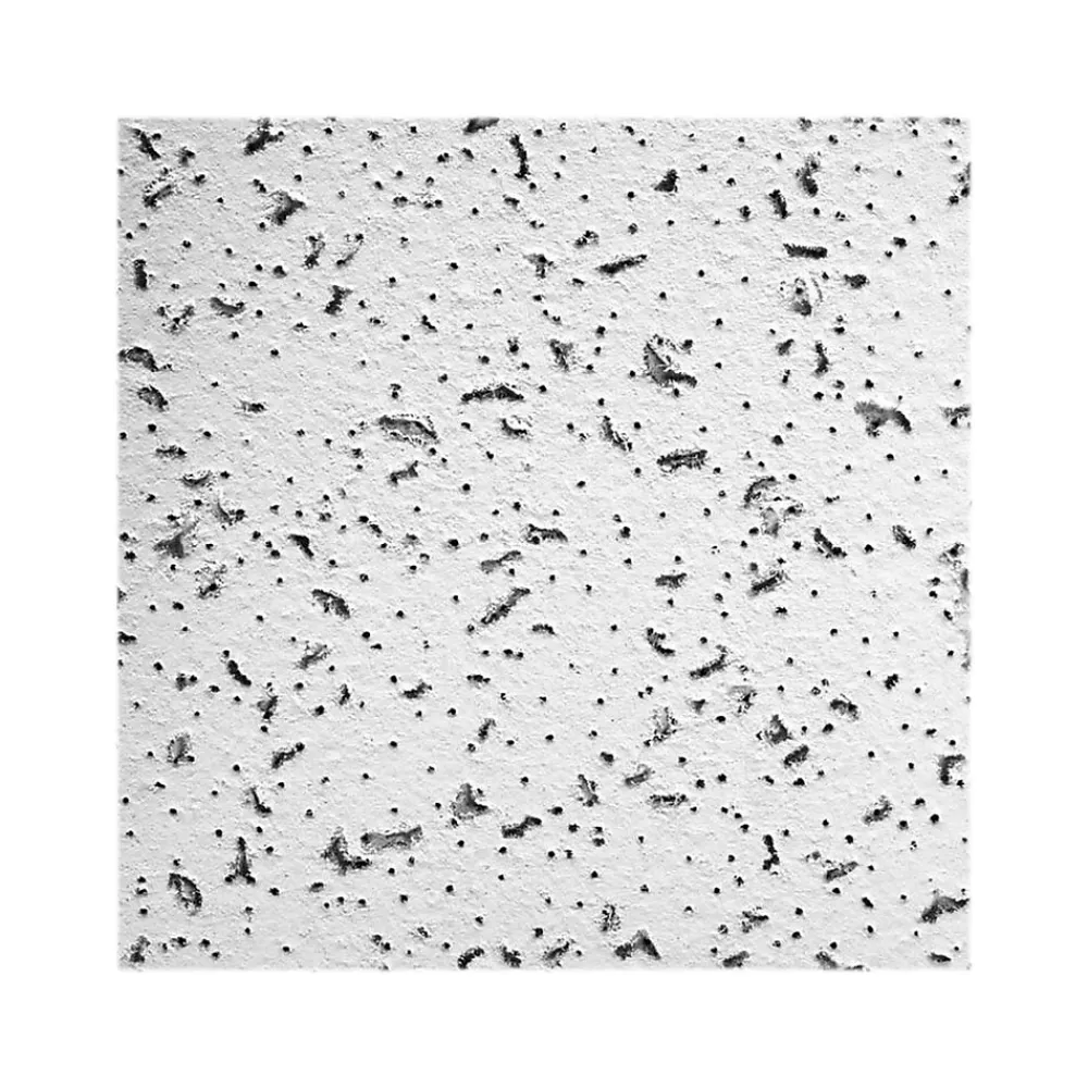Armstrong CORTEGA Square Lay-In Edge Ceiling Tile, 24" x 48", White, 12/Carton (BP769A)