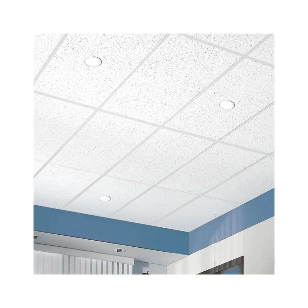 Armstrong CORTEGA Tegular Edge Ceiling Tile, 24" x 48", White, 10/Carton (BP703B)