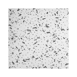 Armstrong CORTEGA Tegular Edge Ceiling Tile, 24" x 24", White, 16/Carton (BP704A)