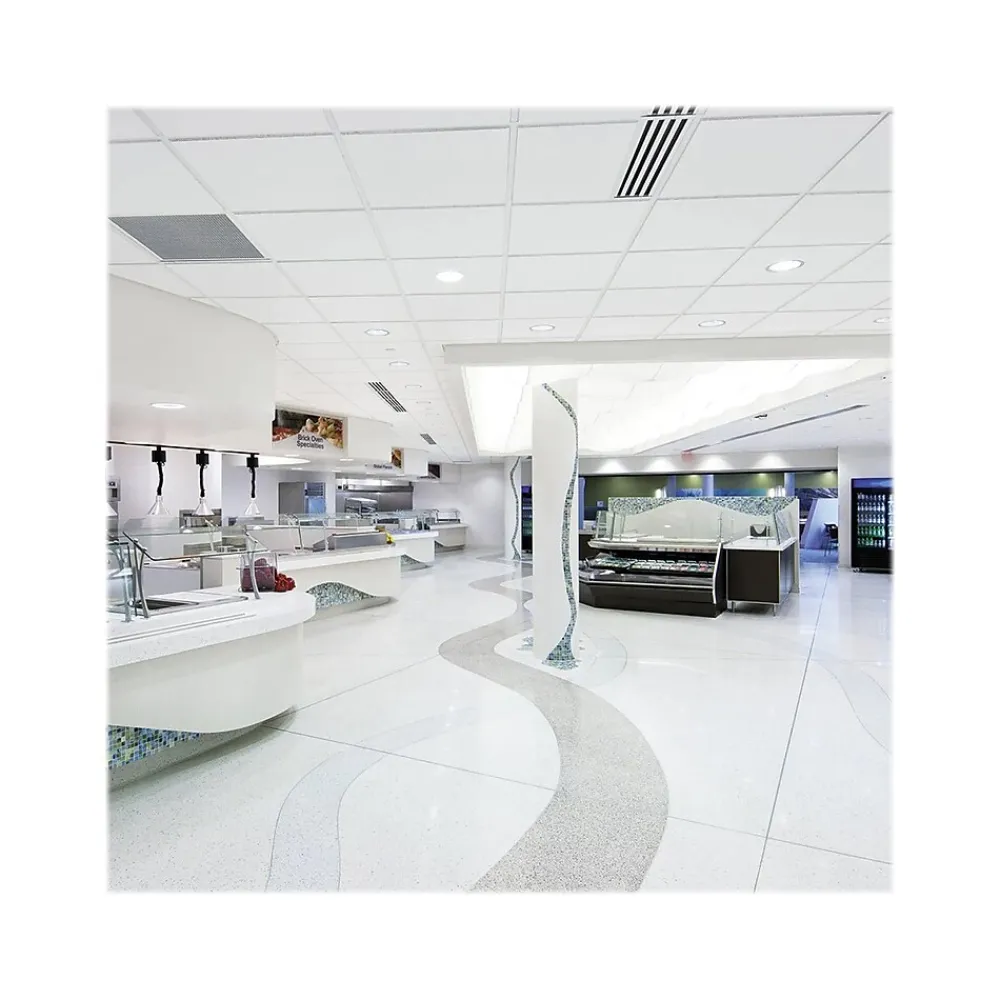Armstrong DUNE Second Look Tegular Edge Ceiling Tile, 24" x 48", White, 10/Carton (BP2712A)