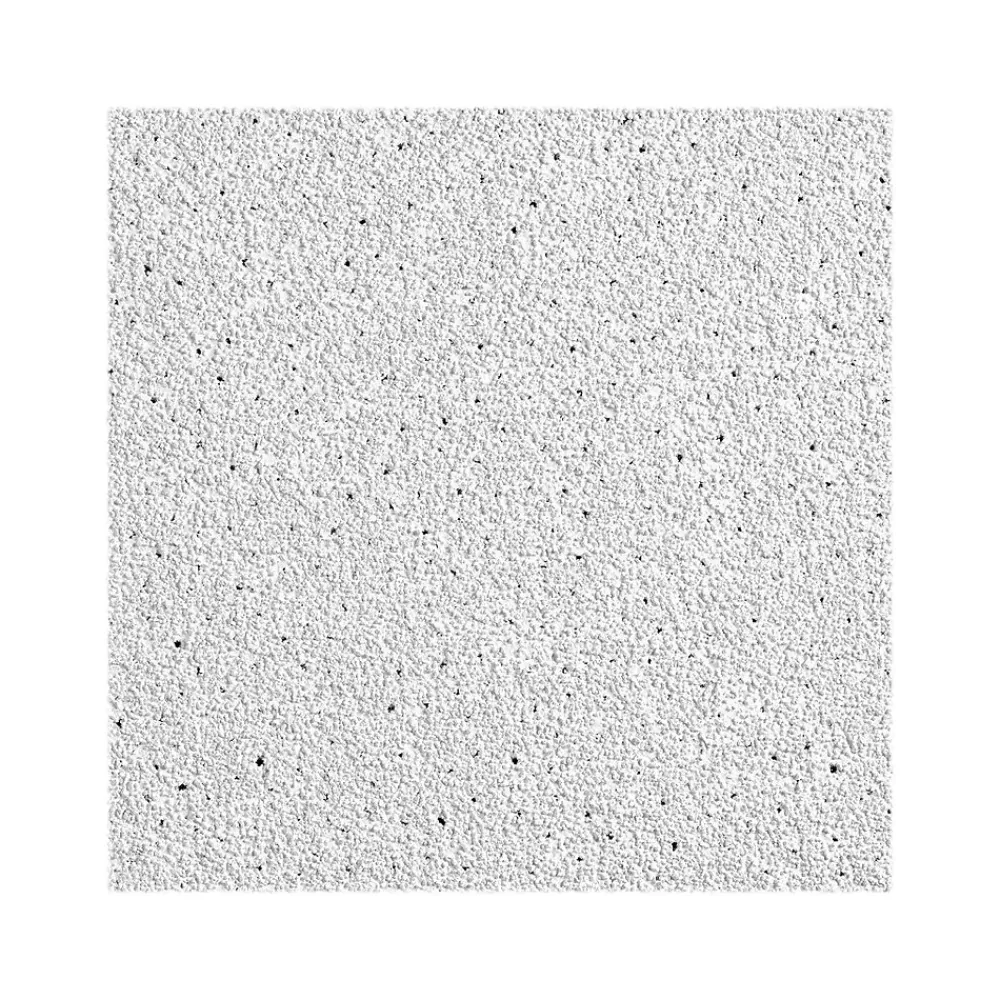 Armstrong DUNE Square Lay-In Edge Ceiling Tile, 24" x 48", White, 8/Carton (BP1773A)