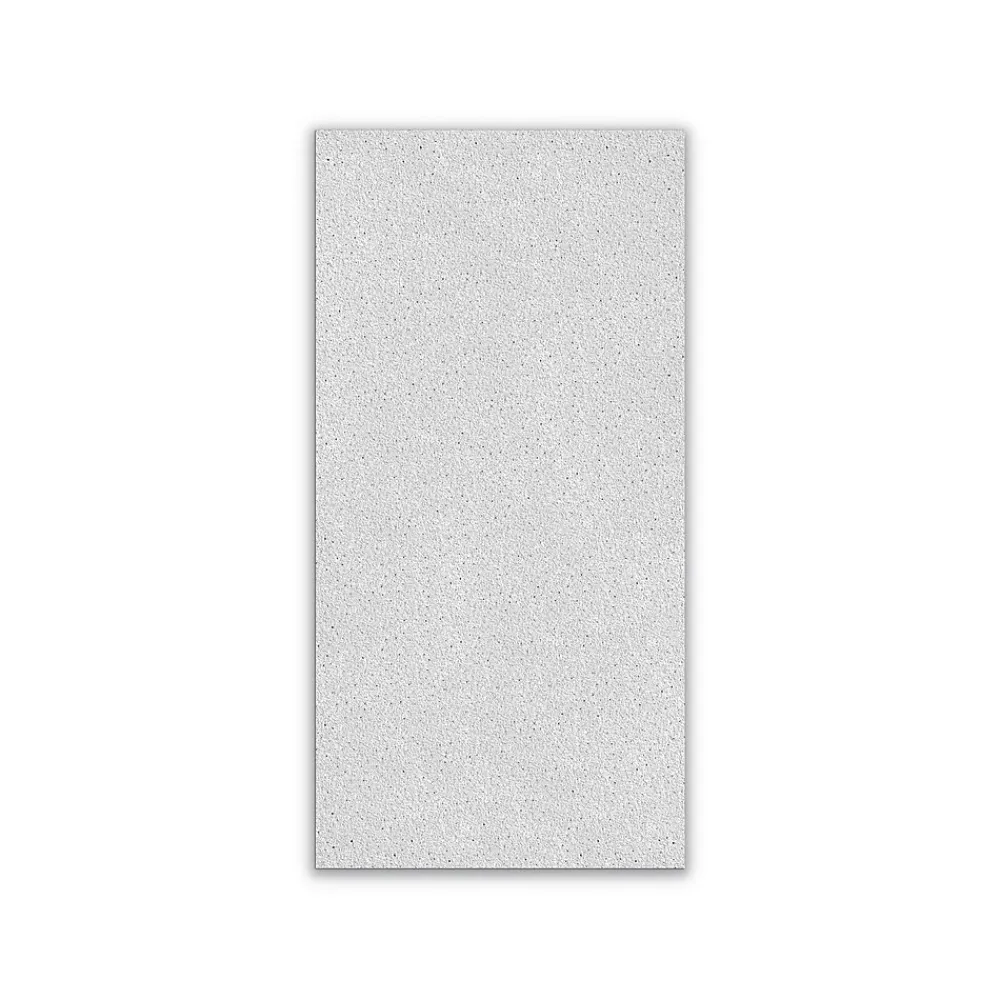 Armstrong DUNE Tegular Edge Ceiling Tile, 24" x 48", White, 8/Carton (BP1776A)