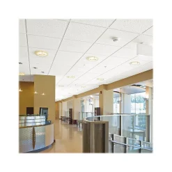 Armstrong FINE FISSURED Second Look II, Angled Tegular Edge Ceiling Tile 15/16, 24" x 48", White, 10/Carton (BP1760C)