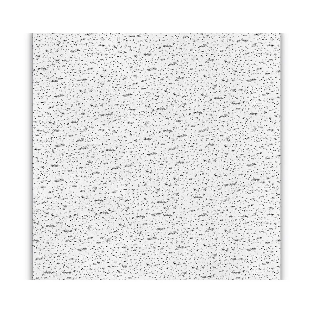 Armstrong FISSURED Angled Tegular Edge Ceiling Tile, 24" x 24", White, 16/Carton (BP705A)