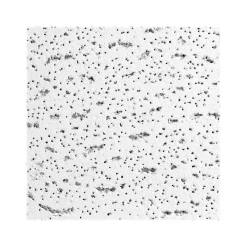 Armstrong FISSURED Square Lay-In Edge Ceiling Tile, 24" x 48", White, 6/Carton (BP895A)