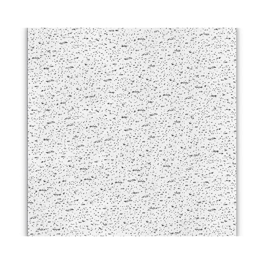 Armstrong FISSURED Square Lay-In Edge Ceiling Tile, 24" x 24", White, 16/Carton (BP756A)