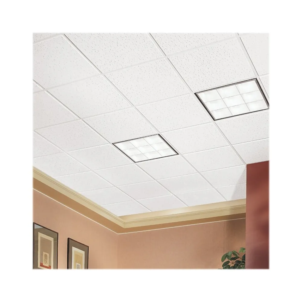 Armstrong FISSURED Square Lay-In Edge Ceiling Tile, 24" x 24", White, 16/Carton (BP756A)