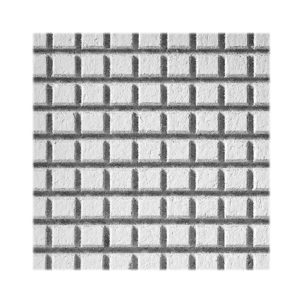 Armstrong GRAPHIS Rustex Beveled Tegular Edge Ceiling Tile, 24" x 24", White, 12/Carton (BP2600)