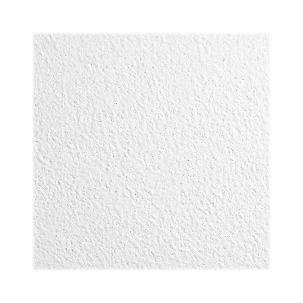 Armstrong KITCHEN ZONE Square Lay-In Edge Ceiling Tile, 24" x 24", White, 16/Carton (BP673)