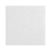 Armstrong LYRA Plant-Based Square Tegular Edge Ceiling Tile 15/16, 24" x 48", White, 12/Carton (BP8352PB)