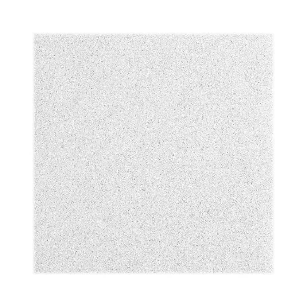 Armstrong LYRA Plant-Based Square Lay-In Ceiling Tile, 24" x 48", White, Dozen (BP8373PB)