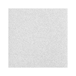 Armstrong OPTIMA Square Lay-In Edge Ceiling Tile, 24" x 48", White, 16/Carton (BP3151)