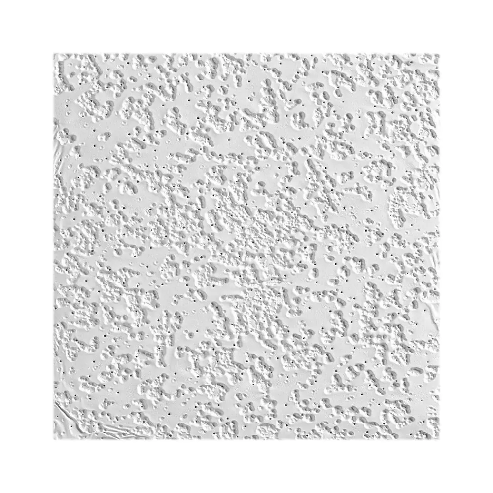 Armstrong RANDOM FISSURED Square Lay-In Edge Ceiling Tile, 24" x 48", White, 16/Carton (BP2911A)
