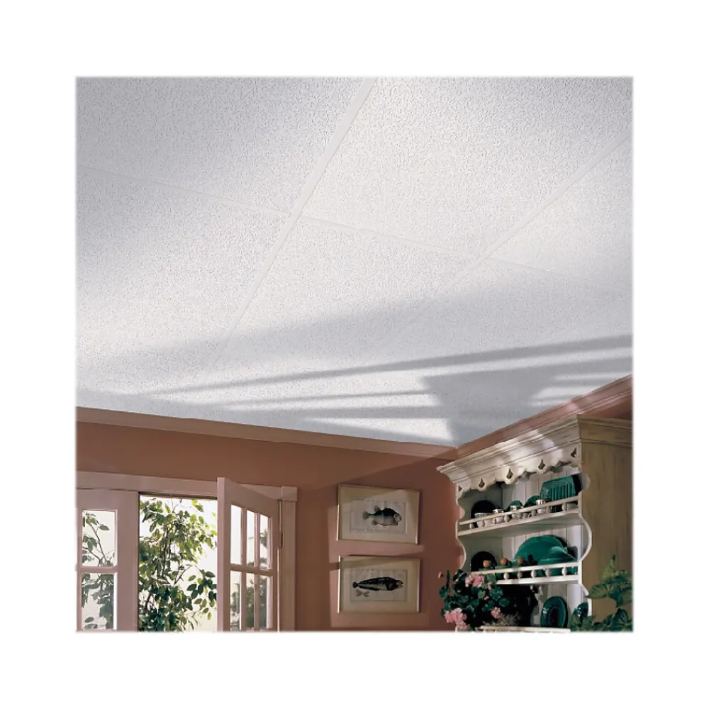 Armstrong RANDOM FISSURED Square Lay-In Edge Ceiling Tile, 24" x 48", White, 16/Carton (BP2911A)