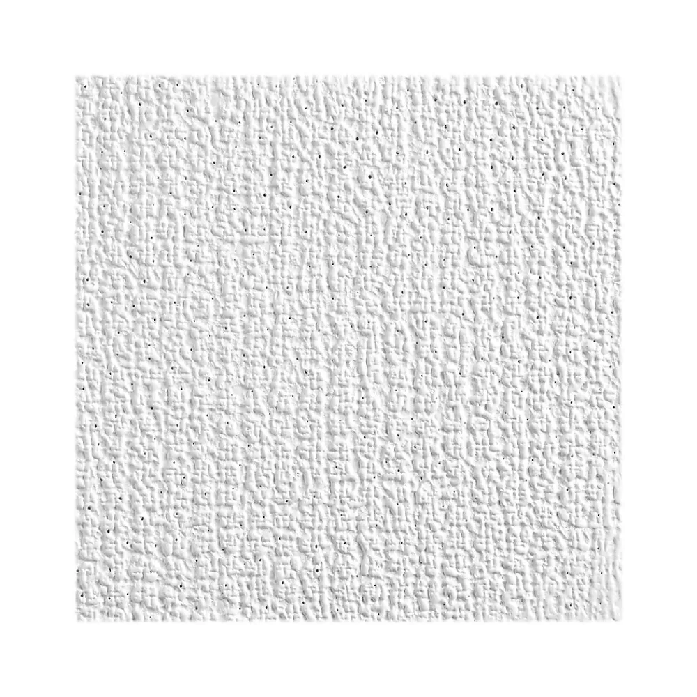 Armstrong SHASTA Square Lay-In Edge Ceiling Tile, 24" x 48", White, 16/Carton (BP2906)