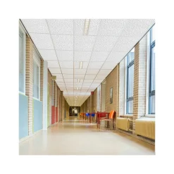 Armstrong TUNDRA Beveled Tegular Edge Ceiling Tile, 24" x 24", White, 12/Carton (BP303A)