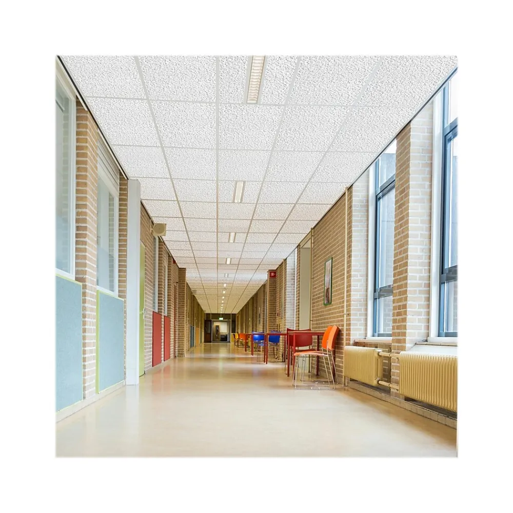 Armstrong TUNDRA Beveled Tegular Edge Ceiling Tile, 24" x 24", White, 12/Carton (BP303A)